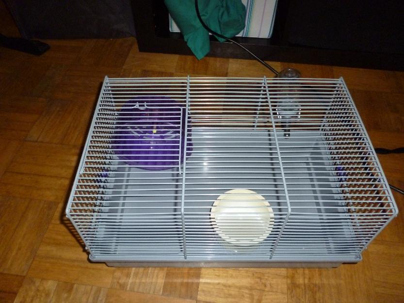 Jaula Hamster