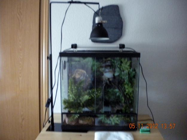 Vendo terrario con kit completo para animales tropicales