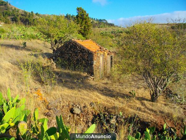 Terreno en la Costa de Puntagorda (LA PALMA)