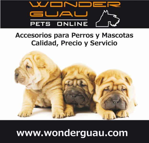 Accesorios para mascotas Wonderguau