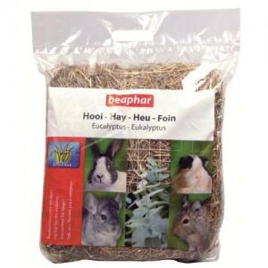 Heno Beaphar con Eucalipto 500g, Heno conejos,chinchillas,Octodones a 4,27€