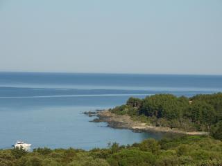 Villa : 4/4 personas - junto al mar - vistas a mar - propriano  corcega del sur  corcega  francia