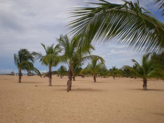 Villa : 4/6 personas - vistas a mar - saly  senegal