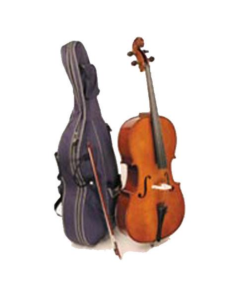 Vendo violonchelo economico