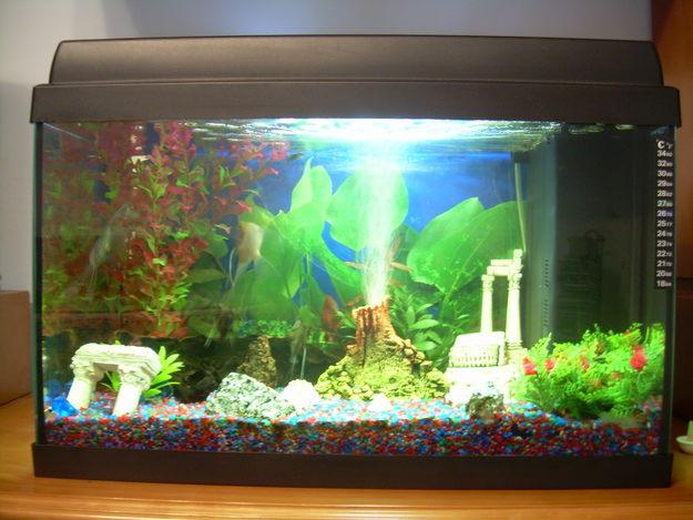 acuario 60 litros