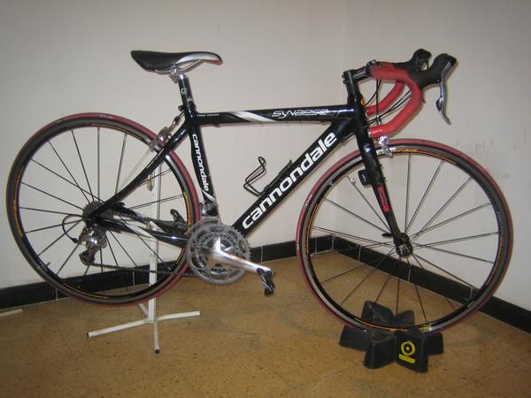 VENDO CONNONDALE  SYNAPSE