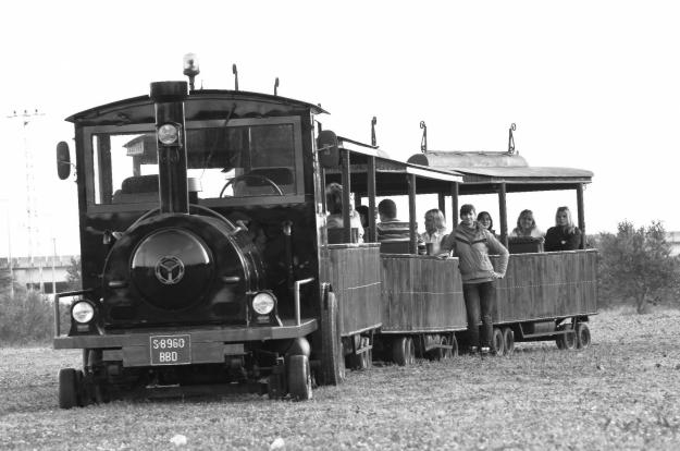 vendo tren turistico