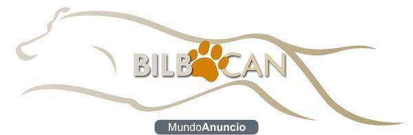 Adiestramiento canino en Bizkaia