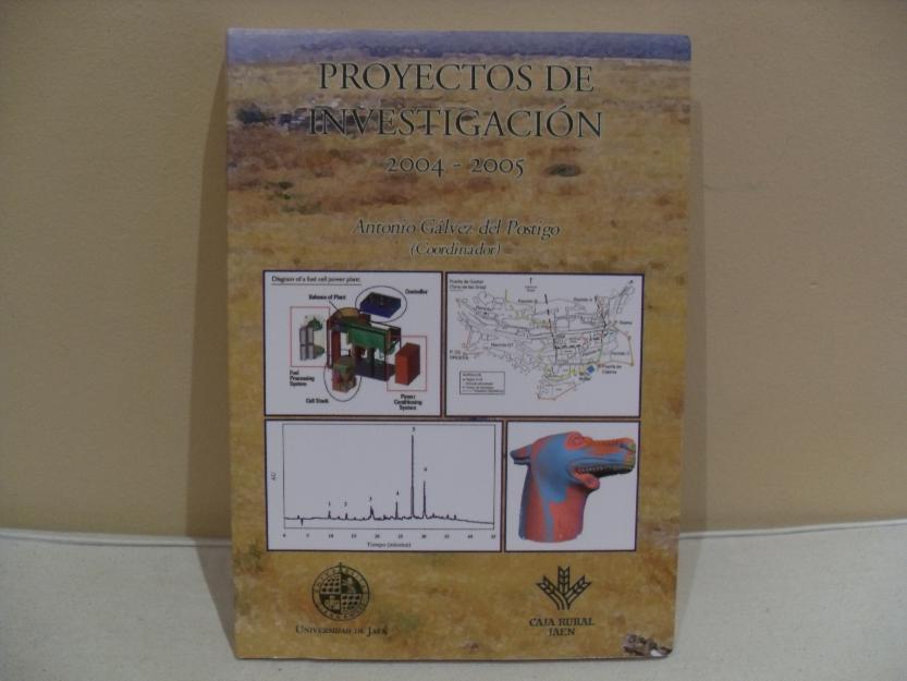 Proyectos de investigación 2004-2005