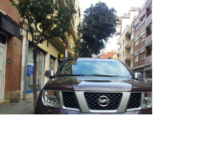 Pathfinder 2.5dCi Platinum