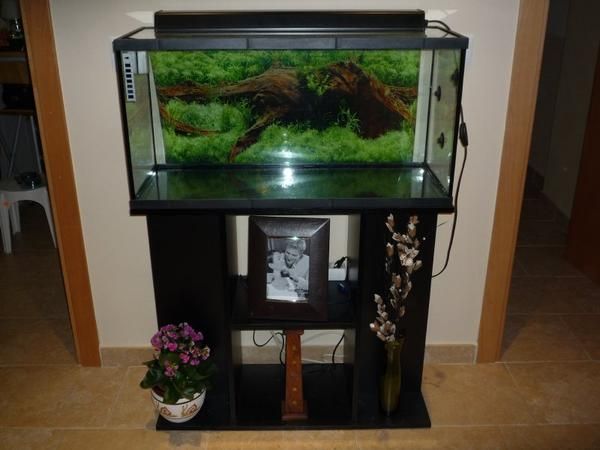 Vendo acuario completo de de 100 L