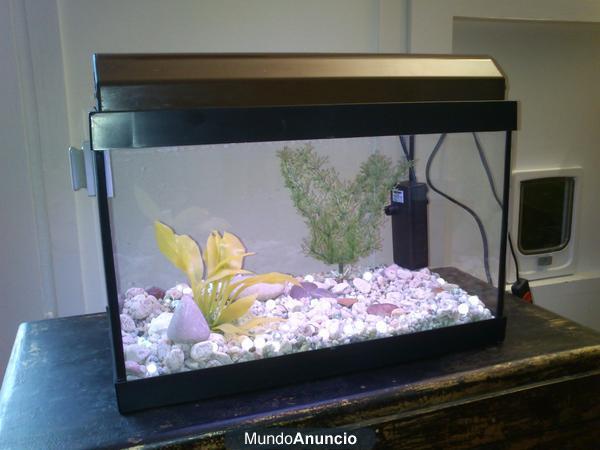 Vendo acuario de peces  20 litros (20x40x25cm) 40€