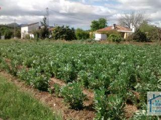 Finca/Casa Rural en venta en Coín, Málaga (Costa del Sol)