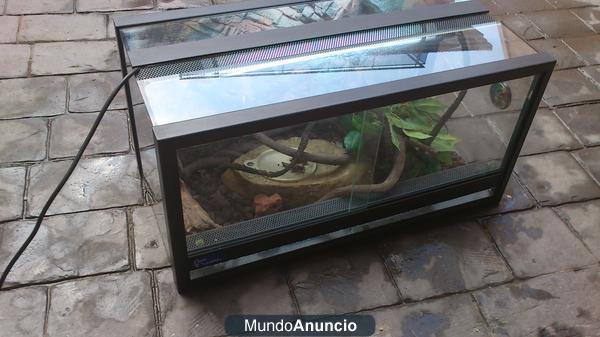 vendo 2 terrarios y varios complementos exoterra