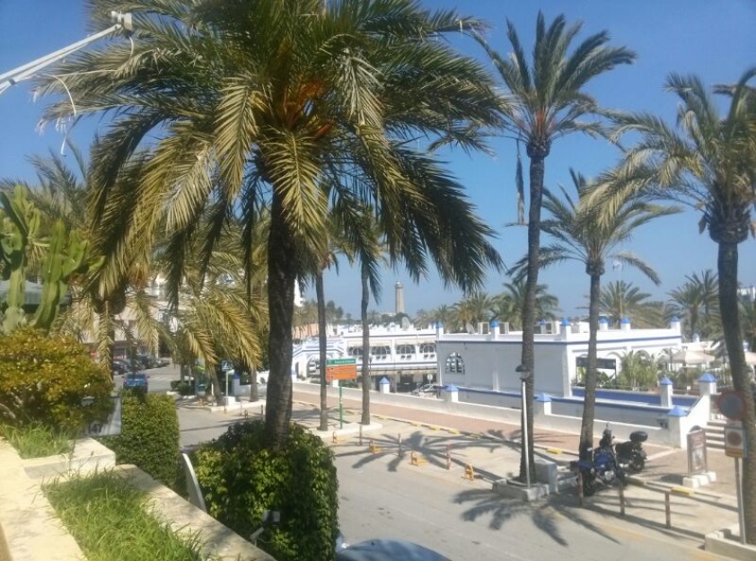 Apartment in Estepona Port