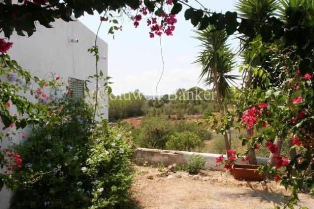 Chalet en venta en Ibiza/Eivissa, Ibiza (Balearic Islands)