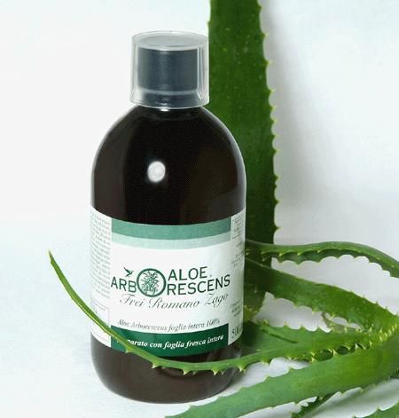 Distribuidor exclusivo para la Península Ibérica de la Receta Original de Aloe Arborescens del Fraile Franciscano Romano