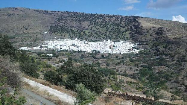 Cortijo en Ohanes