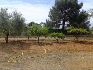 Finca/Casa Rural en venta en Llucmajor, Mallorca (Balearic Islands)