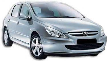 Peugeot 307 1.6HDI 110 '05 en venta en Zamora