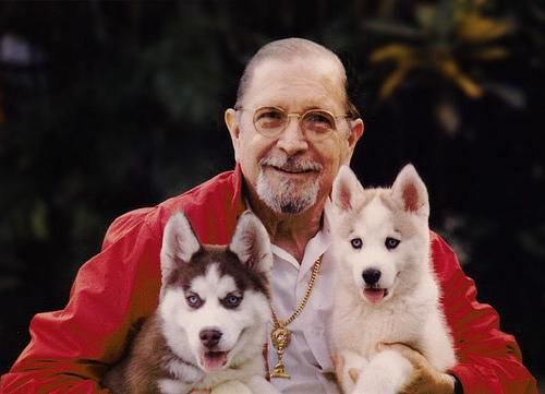 PERRITOS DEL HUSKY SIBERIANO DE LA CALIDAD