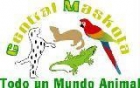 Envio Gratuito a partir de 20 Todo un mundo Animal - mejor precio | unprecio.es