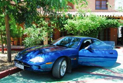 Jaguar XK8-4.0-290 cv-Coupe autómatico