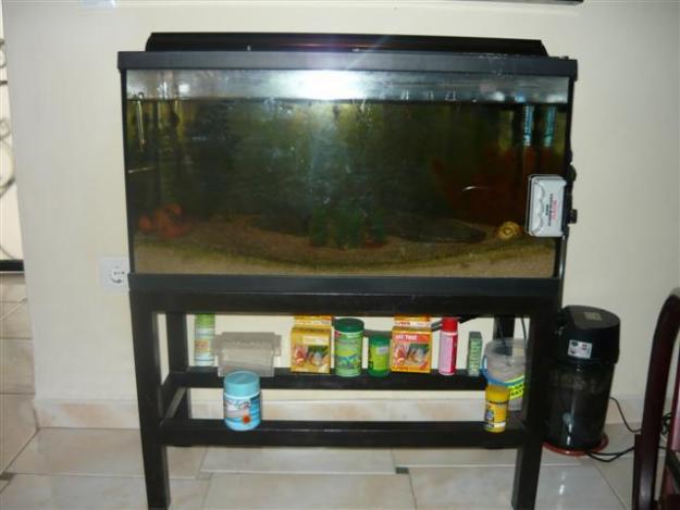 Acuario 100 litros con accesorios