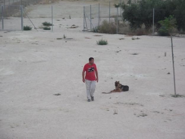 Adiestrador canino a domicilio o en residencia canina HUELLAS