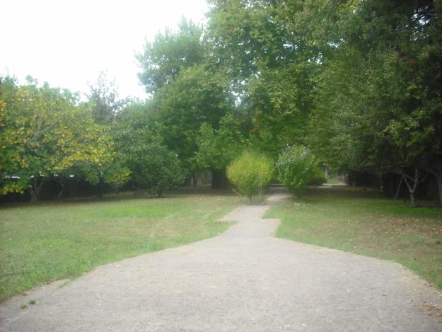 ALQUILO FINCA DE 2500m2 PARA VACACIONES