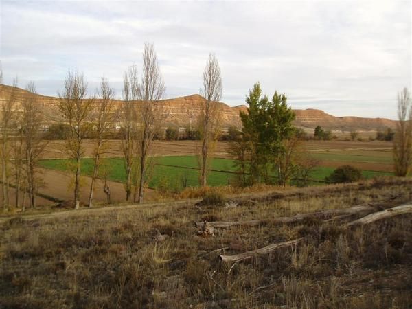 VENDO FINCAS RUSTICAS EN ARCOS DE JALON.