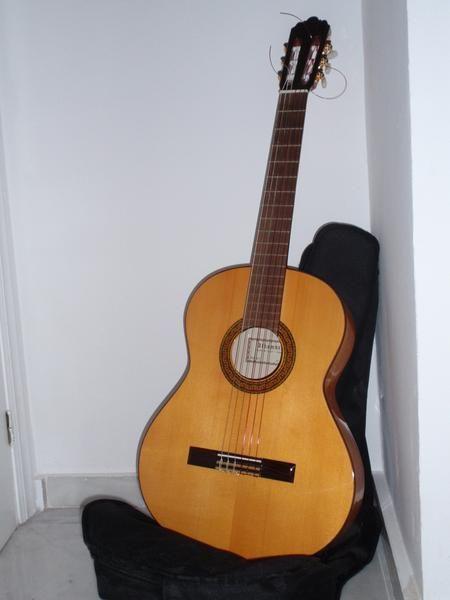 Vendo guitarra al no saber tocarla NUEVA