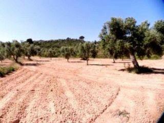 Finca/Casa Rural en venta en Fabara, Zaragoza