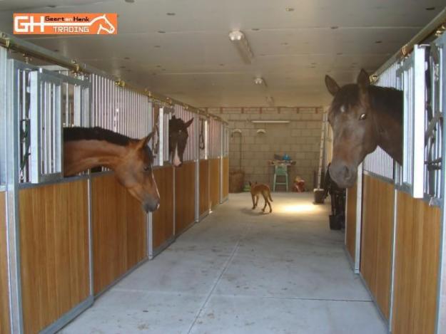 Puestos baratos a caballo, caballos, cuadras de caballos