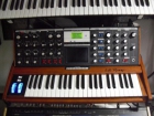 Moog minimoog voyager signed by bob moog + vx-351 - mejor precio | unprecio.es