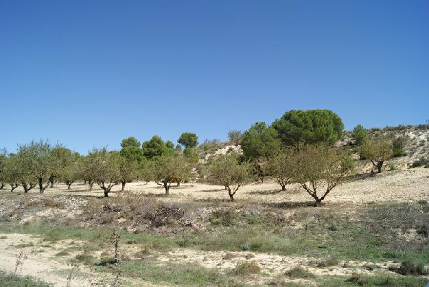 Finca rústica en Mahora