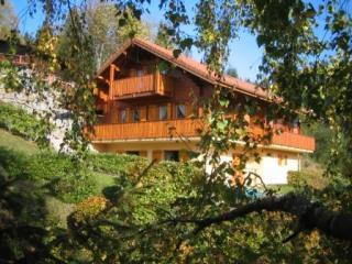 Chalet : 10/12 personas - gerardmer  vosgos  lorena  francia