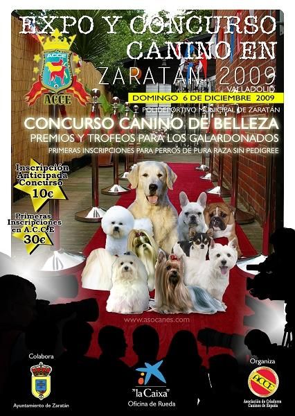 CONCURSO CANINO NACIONAL ZARATAN 2009