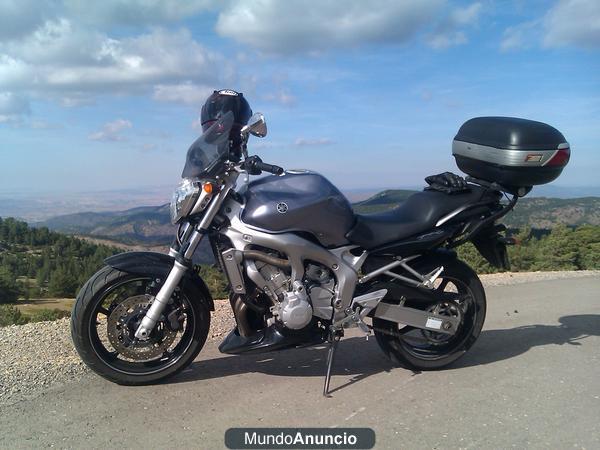 Yamaha FZ6 N