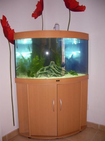 Acuario Juwel Trigon 190