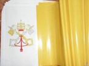 BANDERA VATICANO EL PAPA BENEDICTO XVI 16 BANDERITA PAPEL AL POR MAYOR