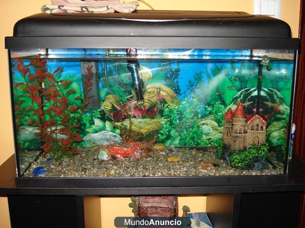 Se vende acuario