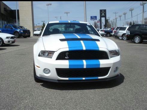 Ford Mustang V8 SHELBY GT 500