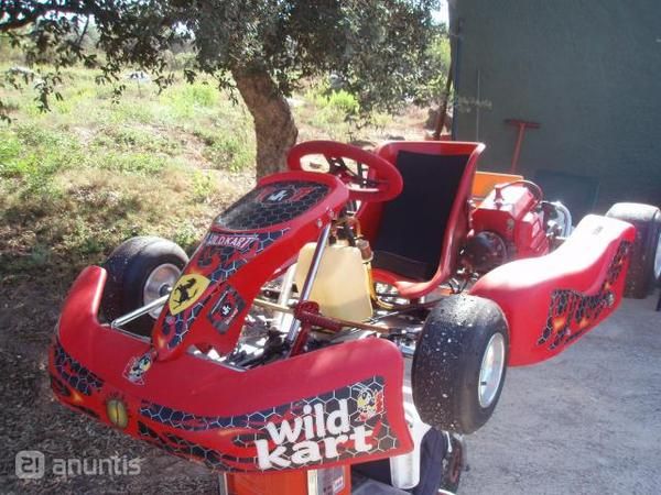 vendo kart alevin wildkart mas remolque!