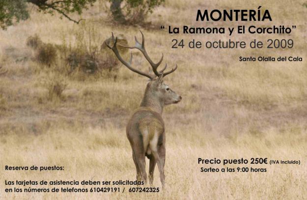 monteria sevilla