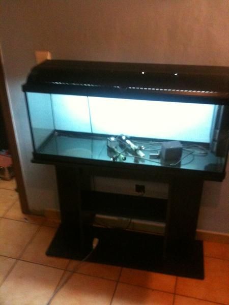 acuario 120 litro + mesa de regalo