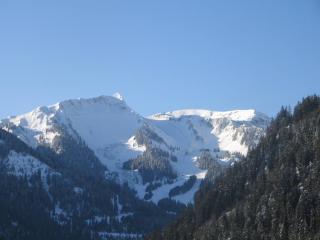 Apartamento : 2/5 personas - chatel  alta saboya  rodano alpes  francia