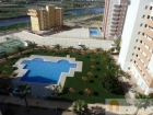 tico en venta en Guardamar del Segura, Alicante (Costa Blanca) - mejor precio | unprecio.es