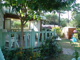 Mobilhome : 4/6 personas - piscina - les mathes  charente-maritime  poitou-charentes  francia