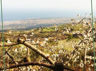 Casa rural : 2/8 personas - vistas a mar - sant'alfio  catania (provincia de)  sicilia  italia